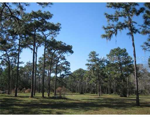 15517 County Line Road Rd., Odessa, FL 33556