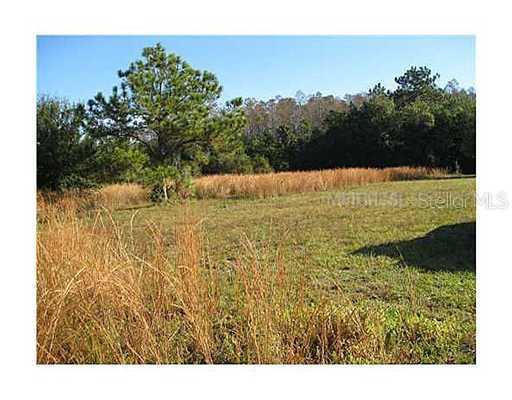 15610 W Philips Rd., Odessa, FL 33556