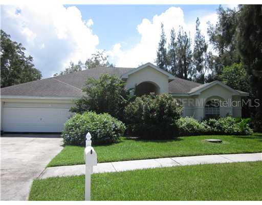 17208 Tiffany Shore Dr., Lutz, FL 33549