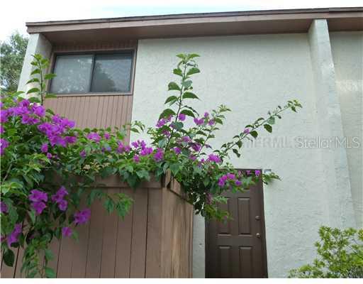 8018 Hibiscus Dr., Temple Terrace, FL 33637