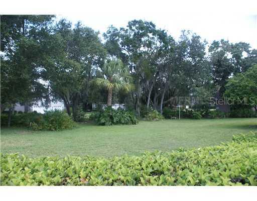 4320 Glendon Pl., Valrico, FL 33596