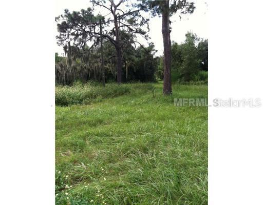 205 W Windhorst Rd., Brandon, FL 33510