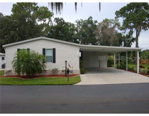 10003 King Oak Dr., Riverview, FL 33569