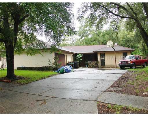 18440 Sterling Silver Cir., Lutz, FL 33549