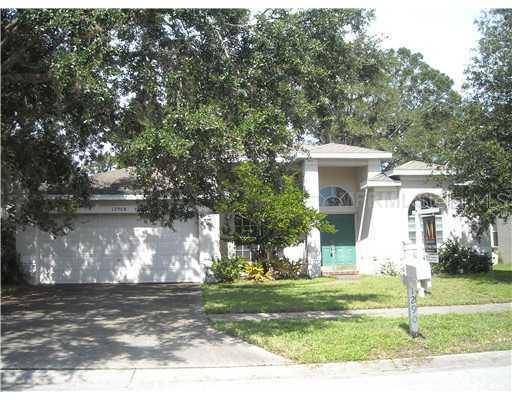 12908 Lake Ventana Dr., Tampa, FL 33625