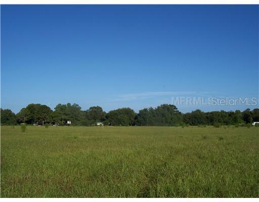 Edison Road, Lithia, FL 33547