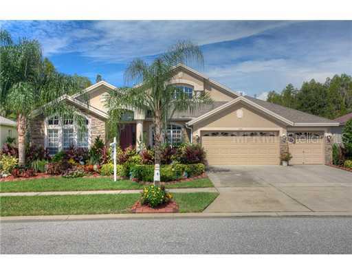 1533 Salmonberry St., Wesley Chapel, FL 33543