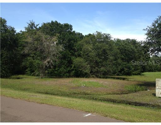 Ponderosa Tr., Wimauma, FL 33598