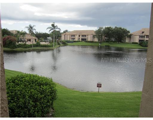 10265 Gandy Blvd. #1114, St Petersburg, FL 33702