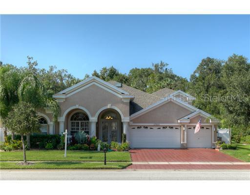 17352 Emerald Chase Dr., Tampa, FL 33647
