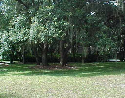 2609 Regal Oaks Ln., Lutz, FL 33559