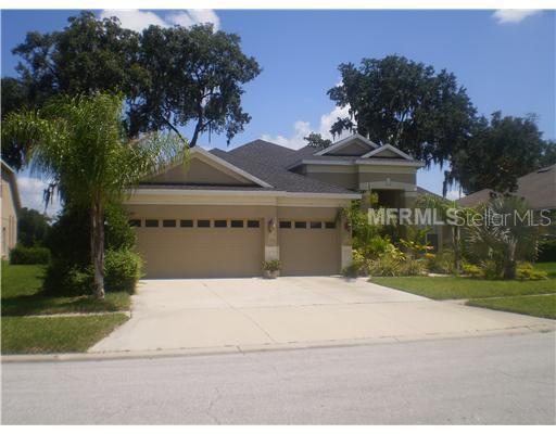 2306 Fountain Grass Dr., Valrico, FL 33594