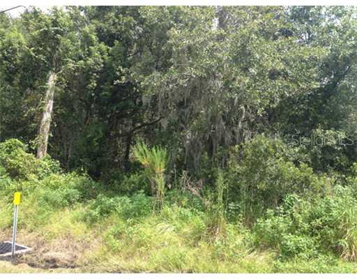 11326 Us Highway 301, Riverview, FL 33578
