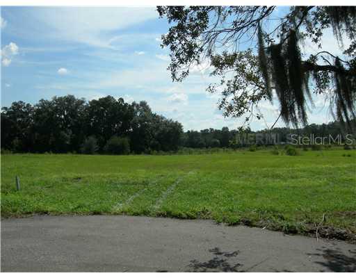 2705 Heavenly Ct., Lutz, FL 33559