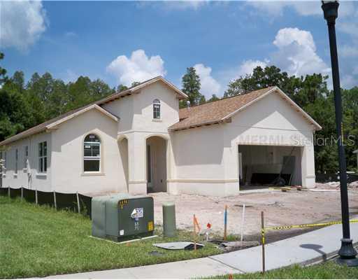 19317 Red Sky Ct., Land O Lakes, FL 34638