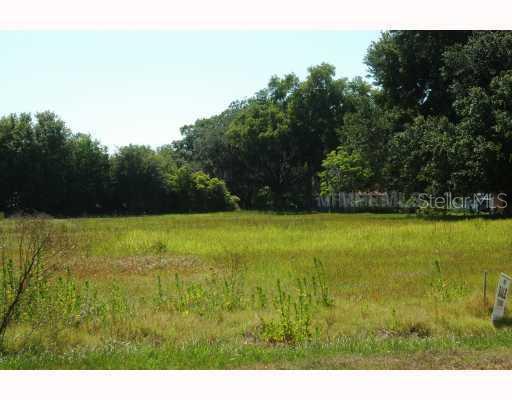 3515 Wilders Pond Way, Plant City, FL 33565