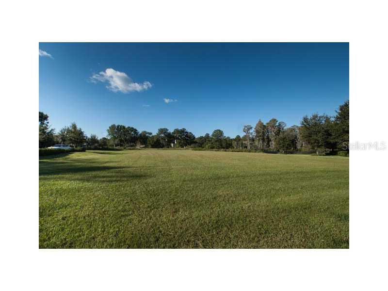 9918 Menander Wood Ct., Odessa, FL 33556