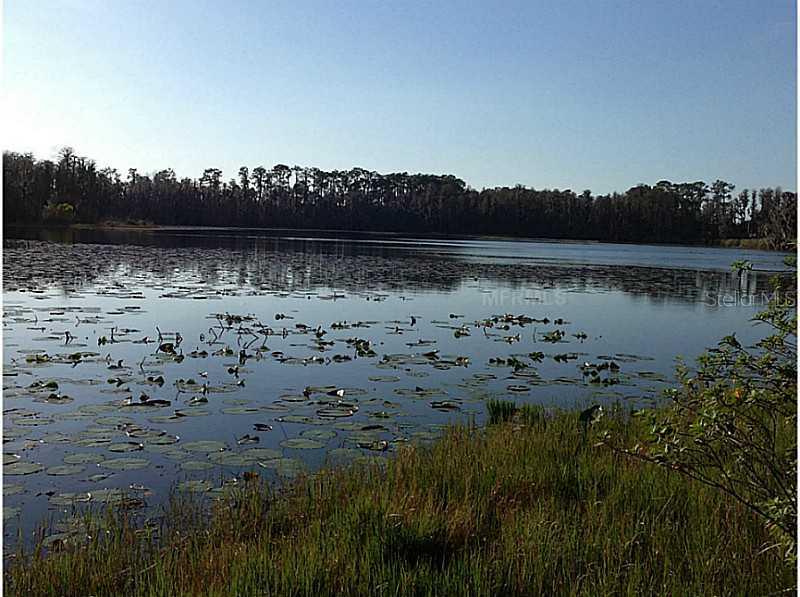1025 Van Dyke Rd., Lutz, FL 33548