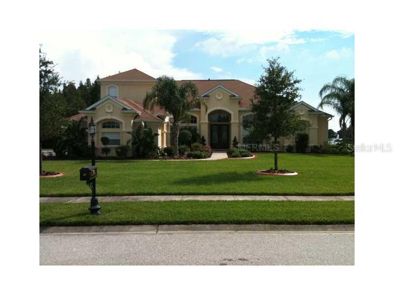15706 Blue Star Ct., Odessa, FL 33556