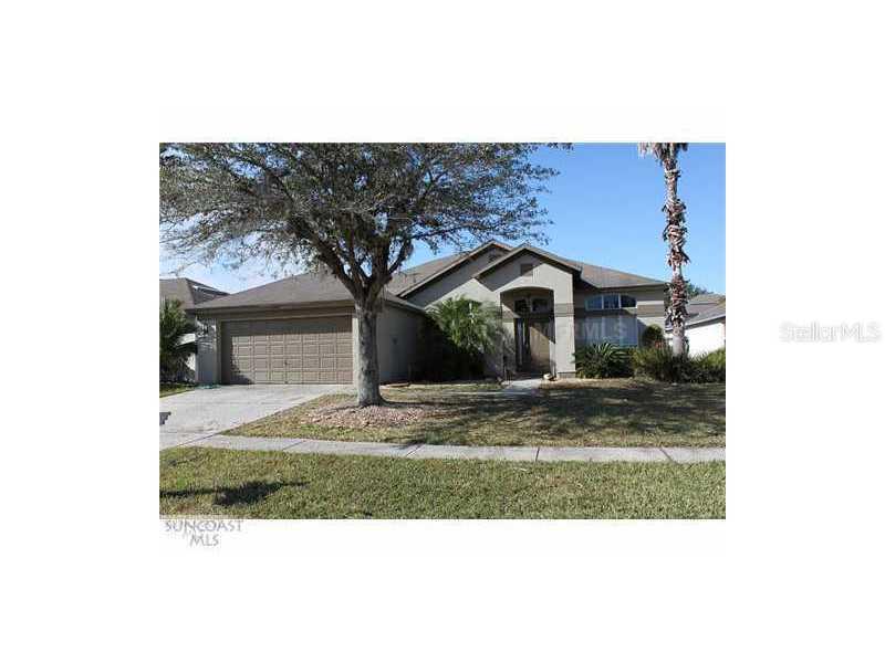 29041 Rivergate Run, Wesley Chapel, FL 33543