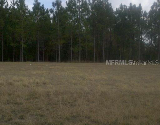 32125 Summerglade Dr., Zephyrhills, FL 33545