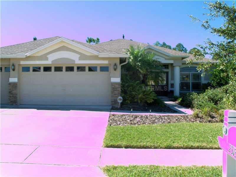 2313 Nesslewood Dr., Wesley Chapel, FL 33543