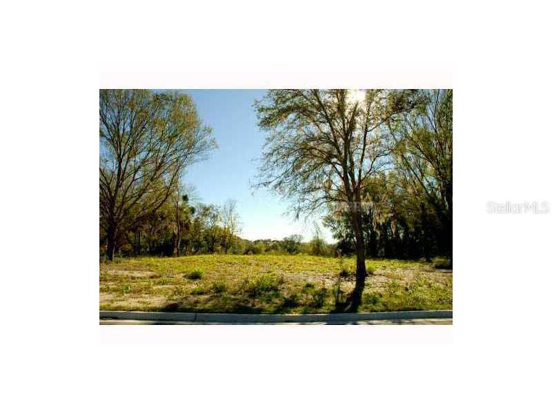17036 Comunidad De Avila, Lutz, FL 33548