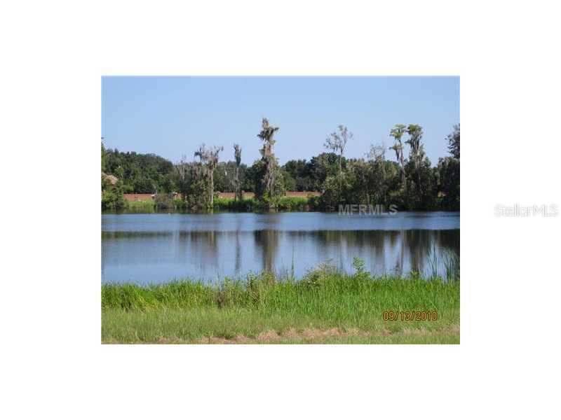 9208 Loney Lake Dr., Odessa, FL 33556