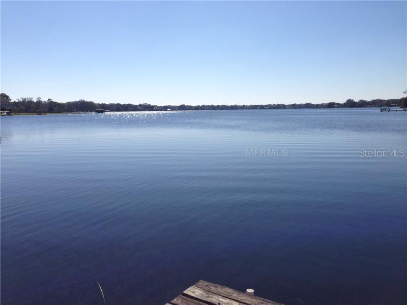 12206 N Armenia Ave., Tampa, FL 33612