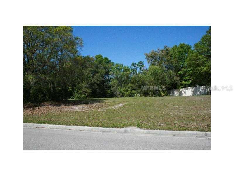 17040 Comunidad De Avila, Lutz, FL 33548