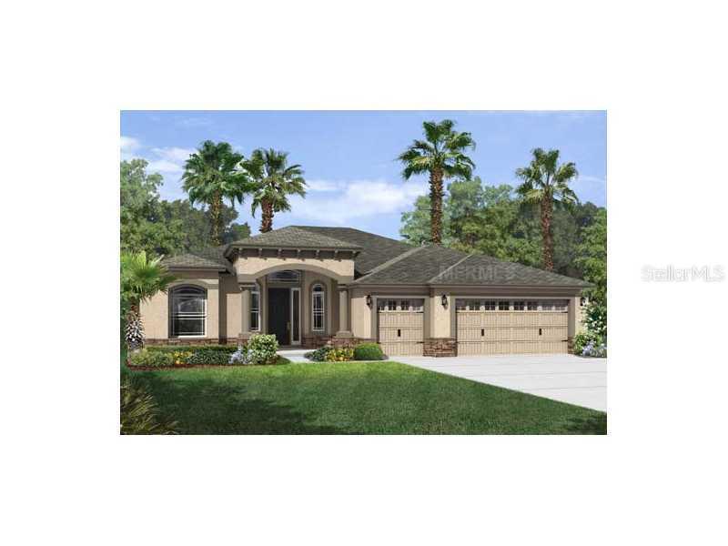 29194 Grass Bunker Dr., San Antonio, FL 33576