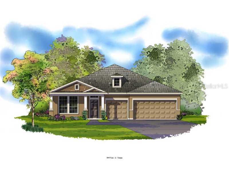 31600 Holcomb Pass, Wesley Chapel, FL 33543