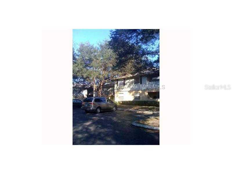 236 Red Maple Pl., Brandon, FL 33510