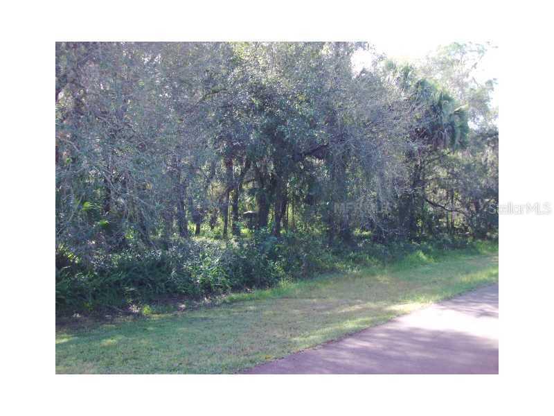 Stagecoach Trail, Wimauma, FL 33598