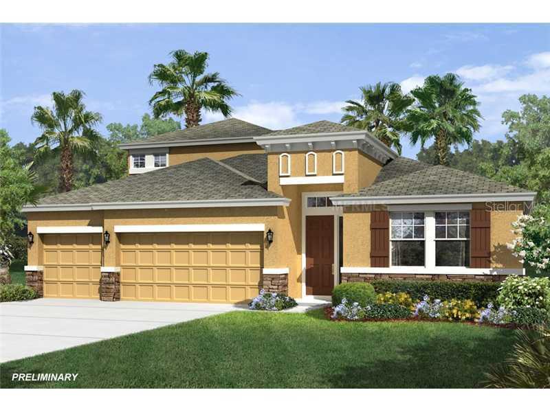2129 Valterra Vista Way, Valrico, FL 33594