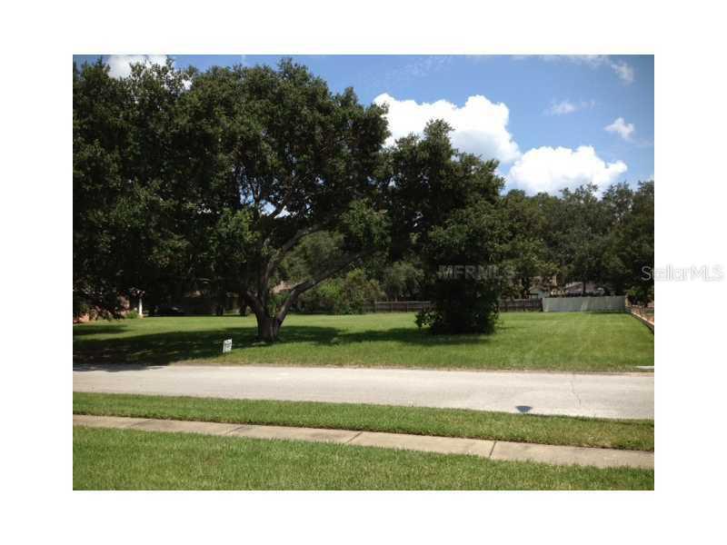 Curry Rd., Lutz, FL 33549