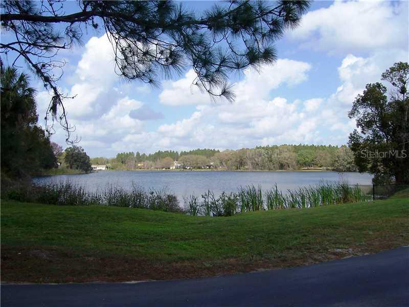 320 Pine Bluff Dr., Lutz, FL 33549