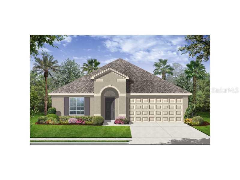 10166 Celtic Ash Dr., Riverview, FL 33578