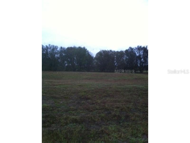 2704 Heavenly Ct., Lutz, FL 33559