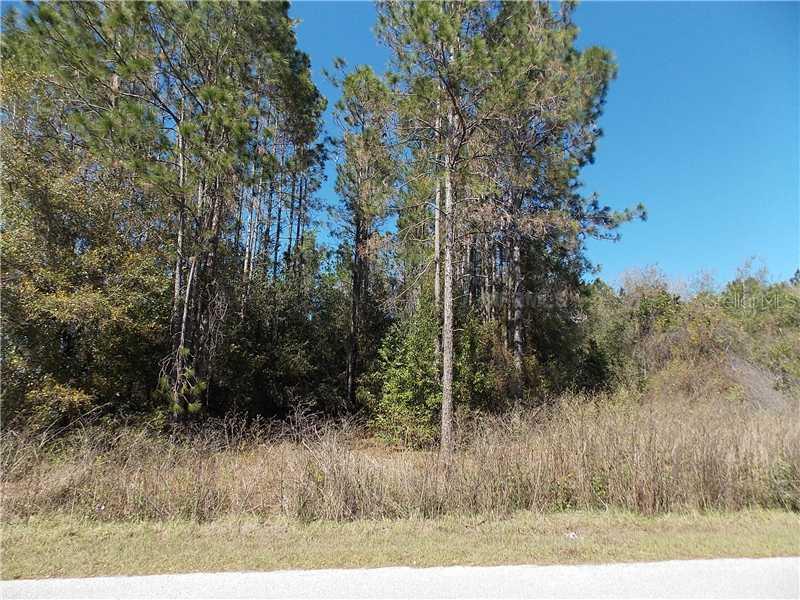 6804 Peyton Dr., Seffner, FL 33584