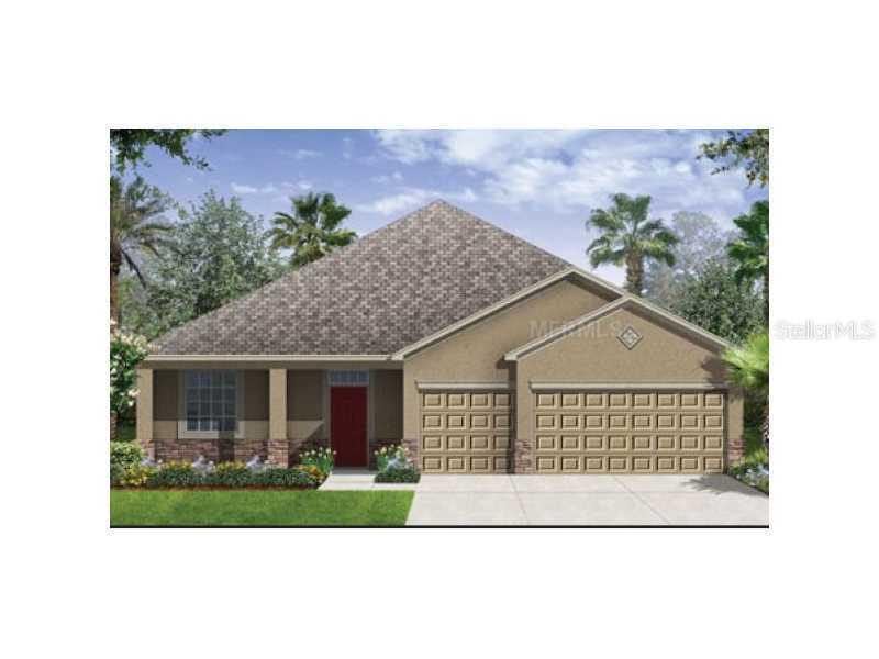 10065 Celtic Ash Dr., Riverview, FL 33578