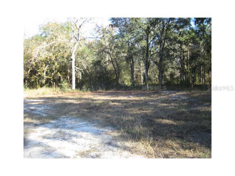 Eagle Landing Lane, Spring Hill, FL 34610