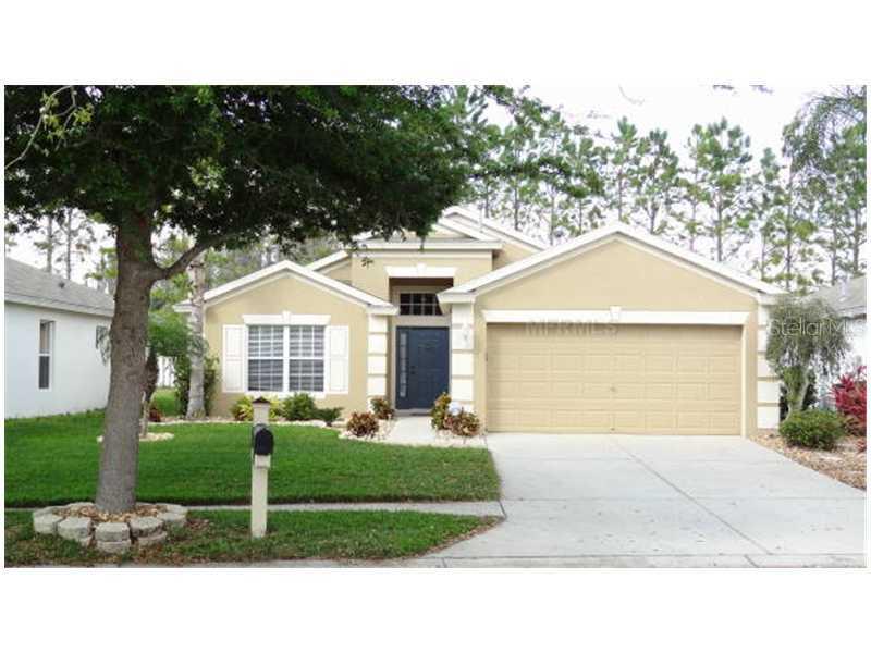 19631 Bellehurst, Land O Lakes, FL 34638