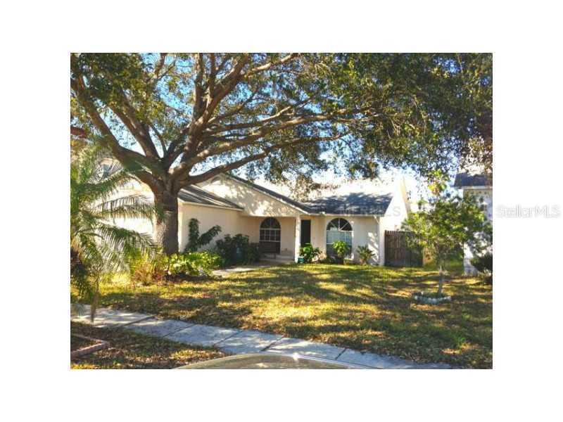 11219 Moonvalley Way, Tampa, FL 33635