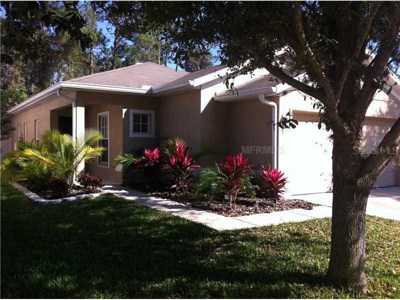 7108 Kendall Heath Way, Land O Lakes, FL 34637