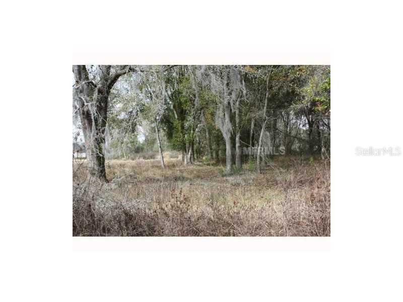 [Address Hidden by Seller], Lutz, FL 33549