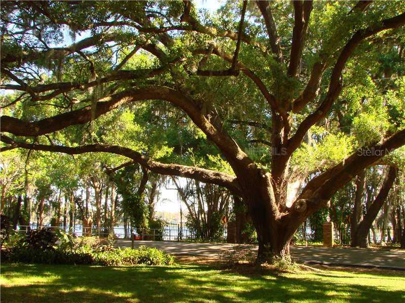 15042 Lake Magdalene Blvd., Tampa, FL 33618