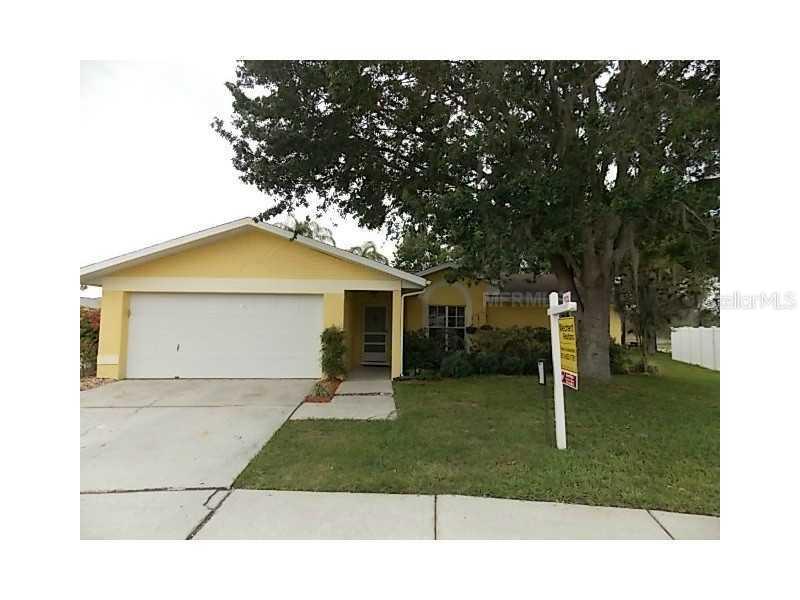 21542 Wytheville Way, Lutz, FL 33549