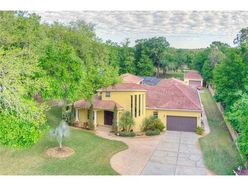 2506 Spring Green Dr., Lutz, FL 33559