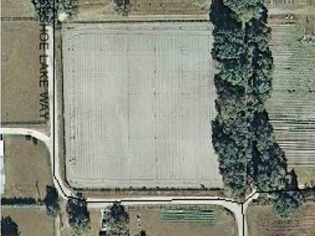 Horseshoe Lake Way, Plant City, FL 33565